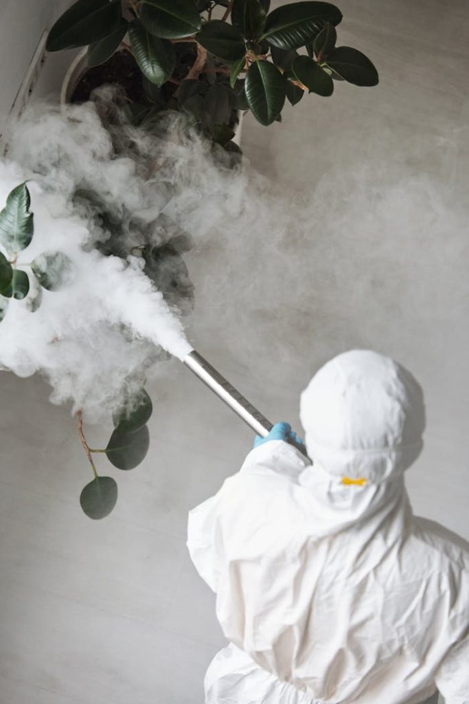 person-in-white-protective-clothing-fumigating-an-indoor-plant-4176548 Person in protective gear fumigating an indoor plant, emitting smoke.